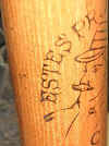 Estes Marking Left.JPG (71323 bytes)